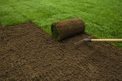 Ryegrass Sod Installation in Rockwall, TX