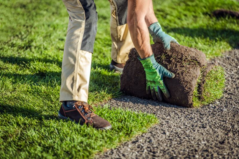Sod Laying Service