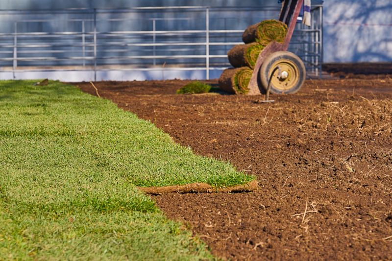 Fescue Sod Installation in Honolulu, HI