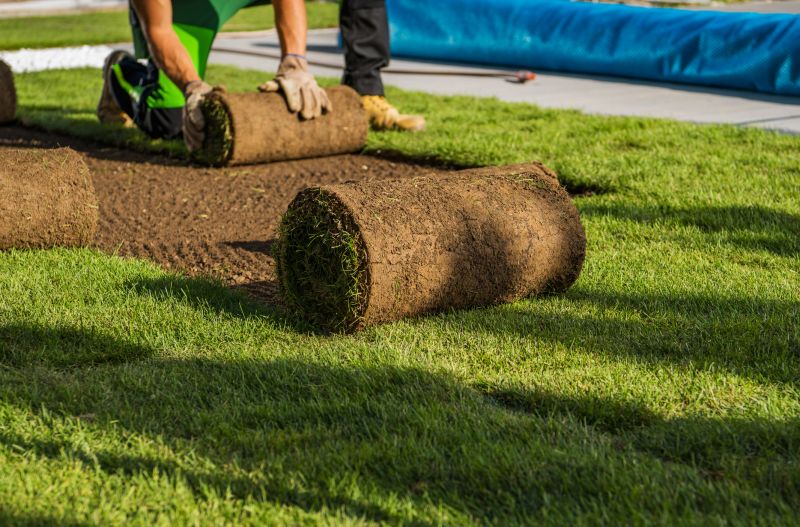 Sod Laying Service detail