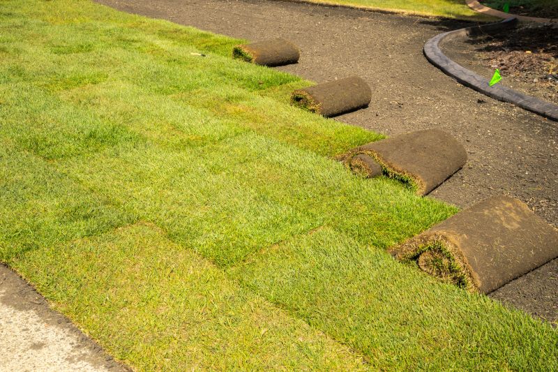 Sod Landscaping