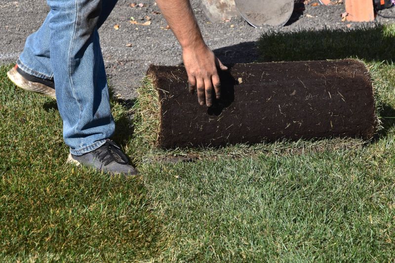 Lawn Replacement in Honolulu, HI