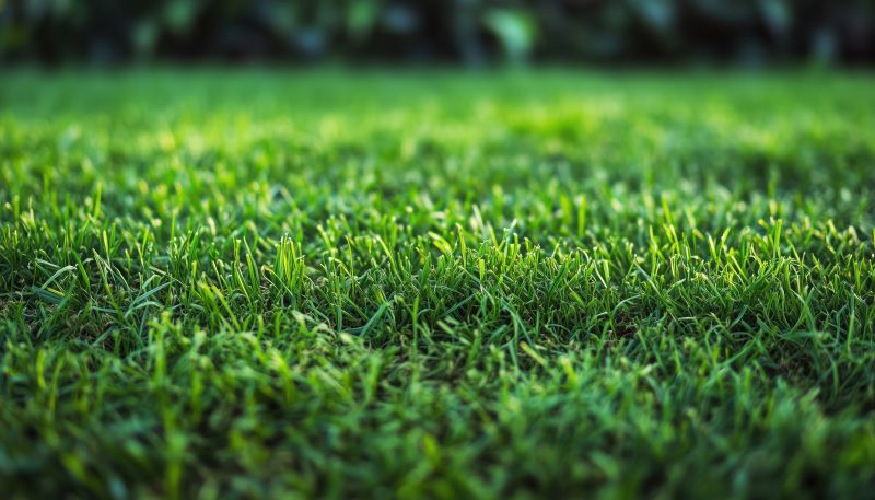 Lawn Sodding in Honolulu, HI