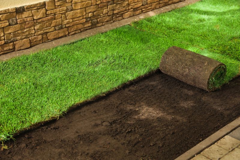 Ryegrass Sod Installation in Honolulu, HI