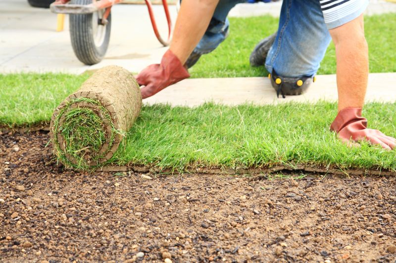 Ryegrass Sod Installation in Honolulu, HI