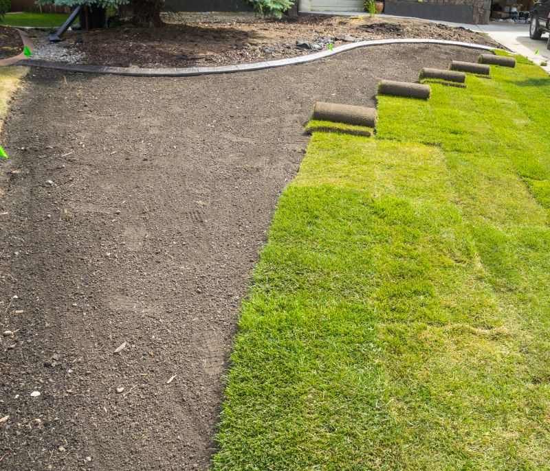 Sod Installation