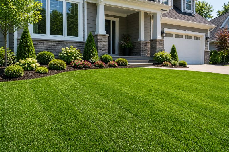 Sod Replacement in Aiken, SC
