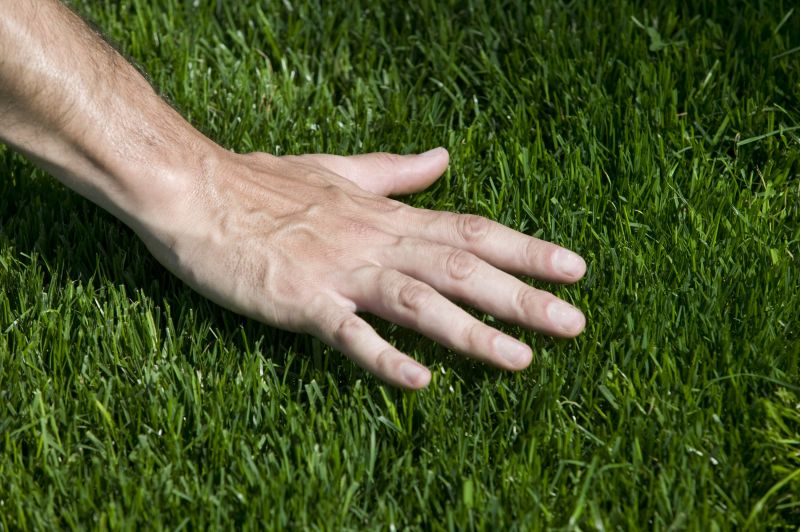 Zoysia Grass Installation in Rockwall, TX